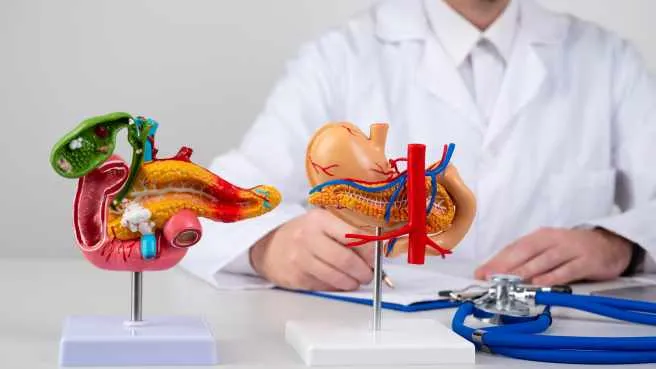 Pankreas nedir?