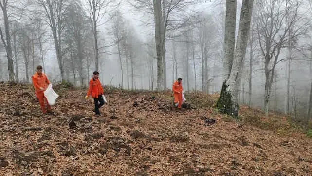 Harmancık’ta yanan ormanlara tohumlar serpiliyor