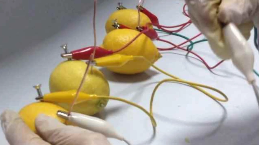 Limon Pili Nasıl Yapılır?